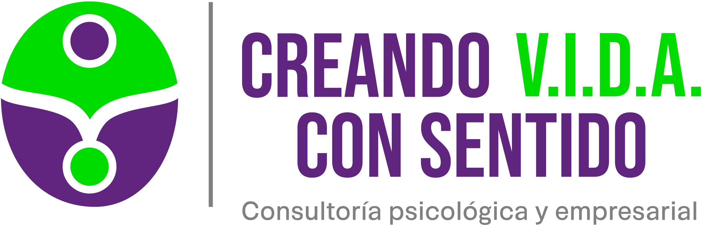 Creando V.I.D.A.